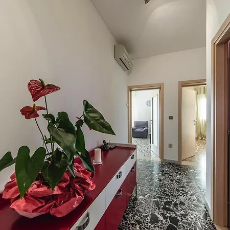 Casa Darii Apartment Marghera